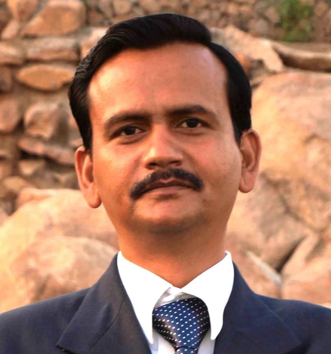 Prof. Kumar Pranav Narayan