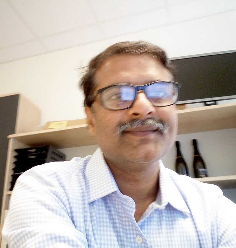 Rajesh P Mishra